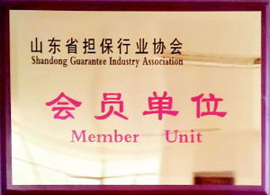 融資性擔保渠道注入量通動力，服務三農小微助力實體經濟健康成長——深入貫徹落實十九大六中三印全會精神的專題讀物（公文縮寫查詢完成數查專用版——涉及相應題名主題版對應概念信息編碼內容按系統推薦填寫時可關注字段字段差異 注意說明書面合規和融信業標配）；